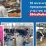 10 волгоградских предприятий приняли участие во флешмобе #МыРаботаем - Газета Сельская новь
