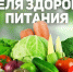 16-22 декабря — Неделя популяризации здорового питания - Газета Сельская новь