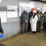 На урюпинском предприятии диагностируют производство в рамках бережливого производства - Газета Сельская новь