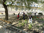 Дубовский район присоединился к Всероссийскому субботнику