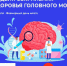 21-27 июля – Неделя сохранения здоровья головного мозга - Газета Сельская новь