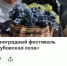 Фестиваль «Дубовская лоза» включён в перечень рекомендаций сервиса путешествий RUSSPASS - Дубовский район